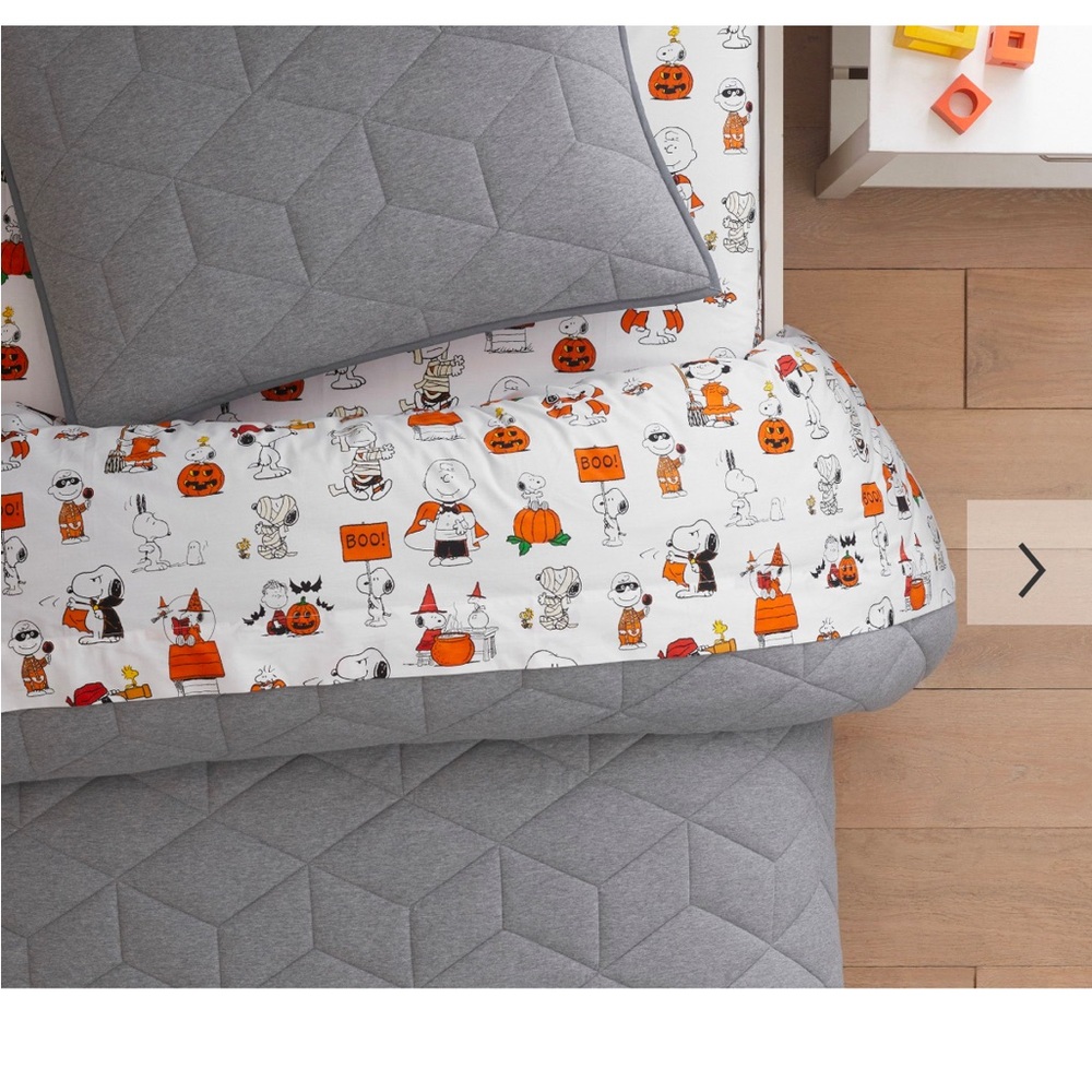 ⚡️ FLASH SALE EUC Snoopy Halloween Full sheet set Pottery Barn Kids